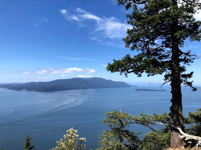 Vacation Rentals (United States of America, Lummi Island, Washington)