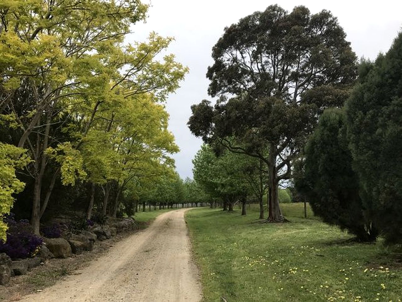 Luxurious Getaway on a Hobby Farm in Melbourne, Victoria