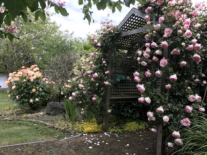 Vacation Rentals (Melbourne, Victoria, Australia)