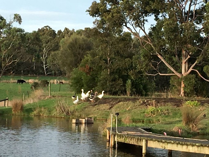 Vacation Rentals (Melbourne, Victoria, Australia)