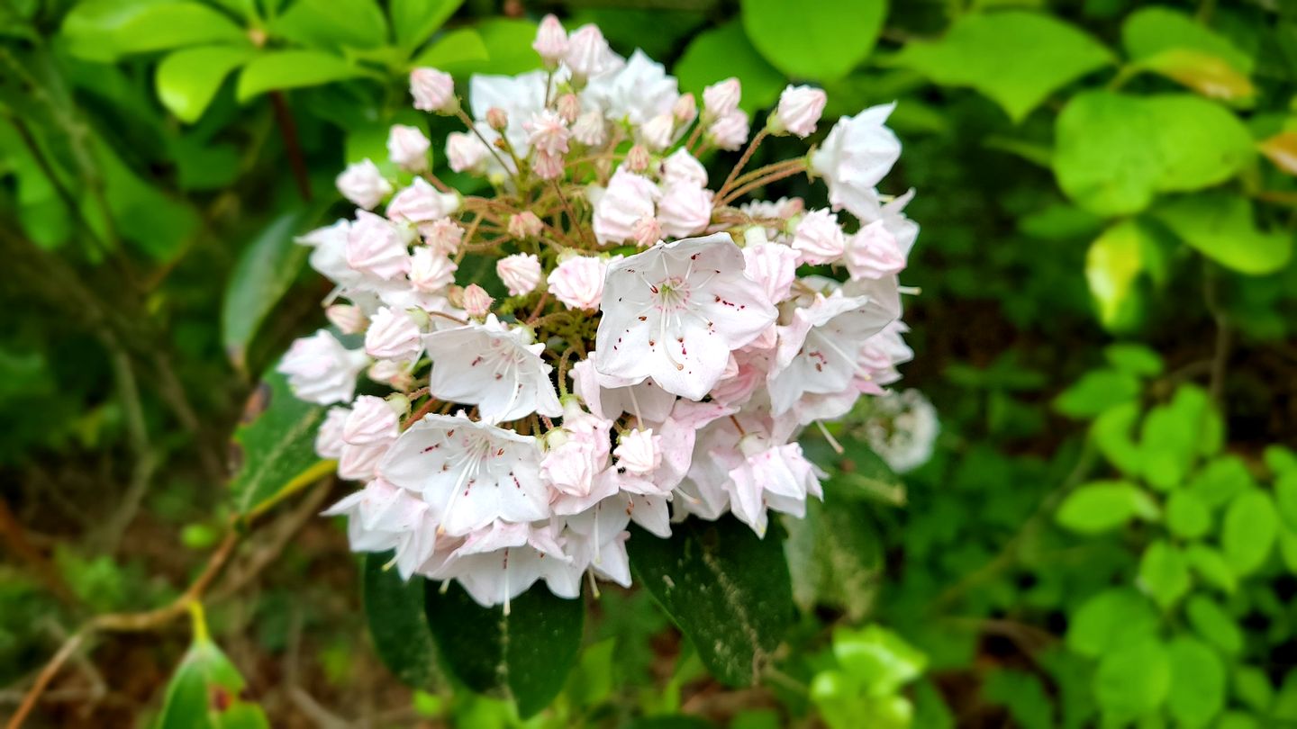 Amazing Wooden Cabin with Hot-tub and Game Room in Sevierville, Tennessee