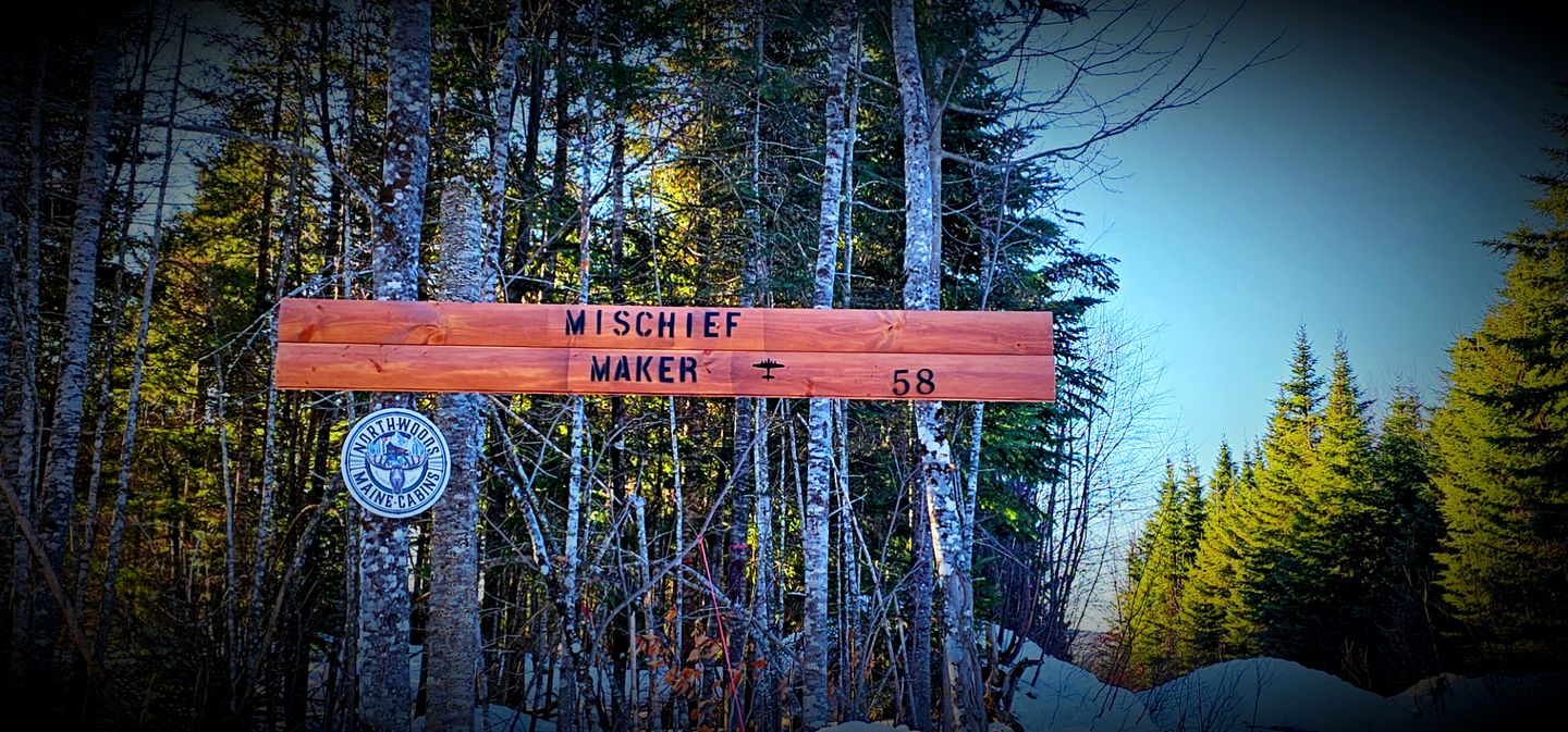 Amazing Wooden Cabin Surrounded by Trees in Greenville, Maine