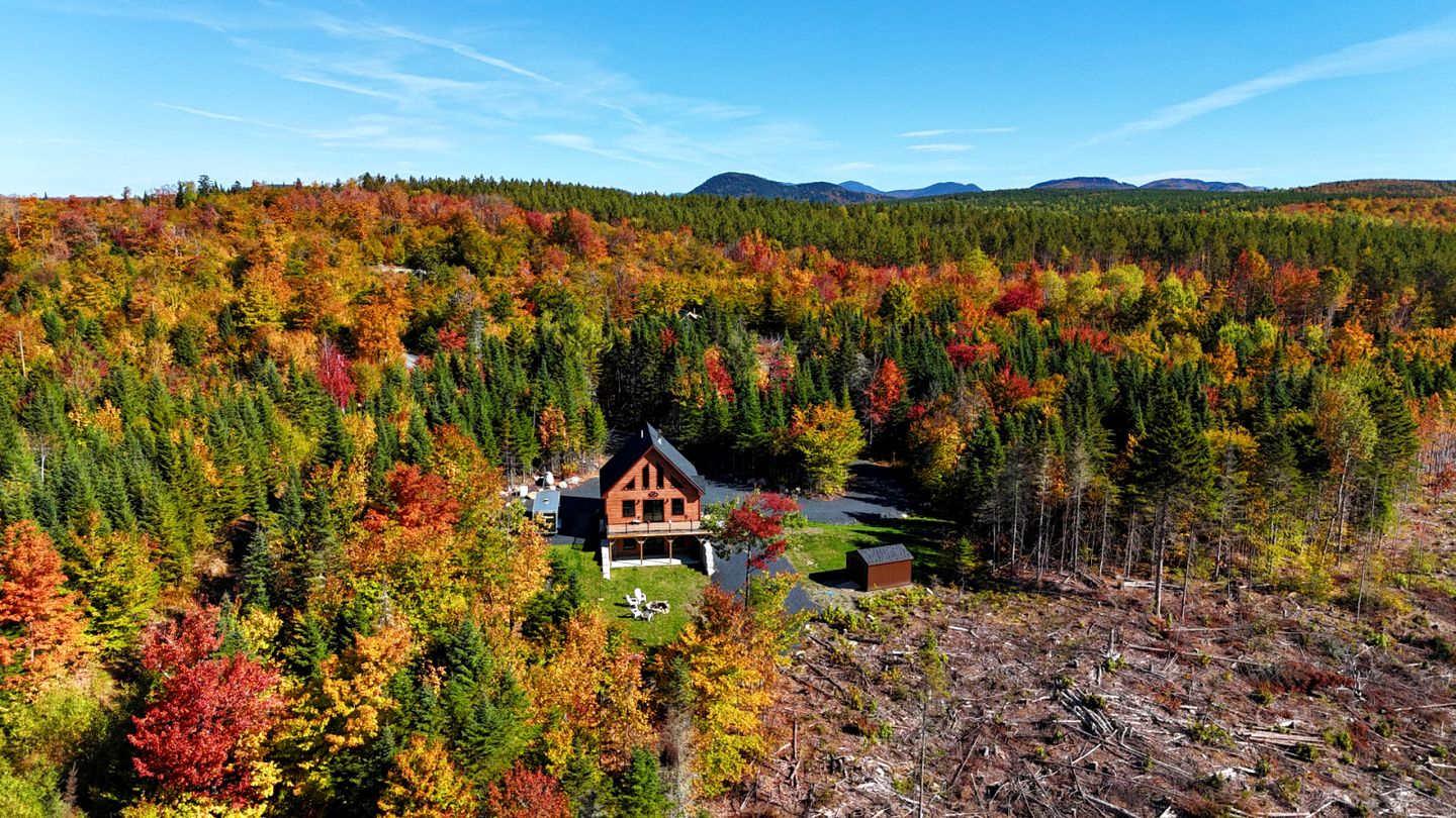 Amazing Wooden Cabin Surrounded by Trees in Greenville, Maine