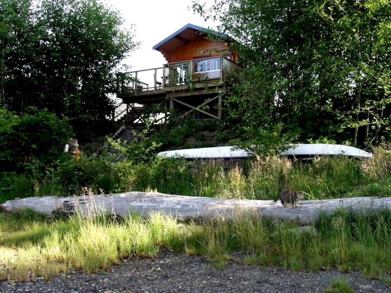 Cozy Waterfront Cabin Rentals with Hot Tub near Tofino, British Columbia