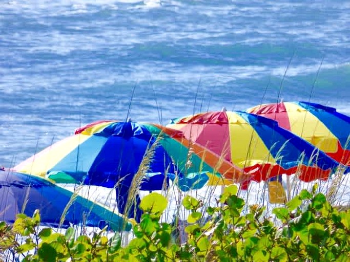 Vacation Rentals (United States of America, Placida, Florida)