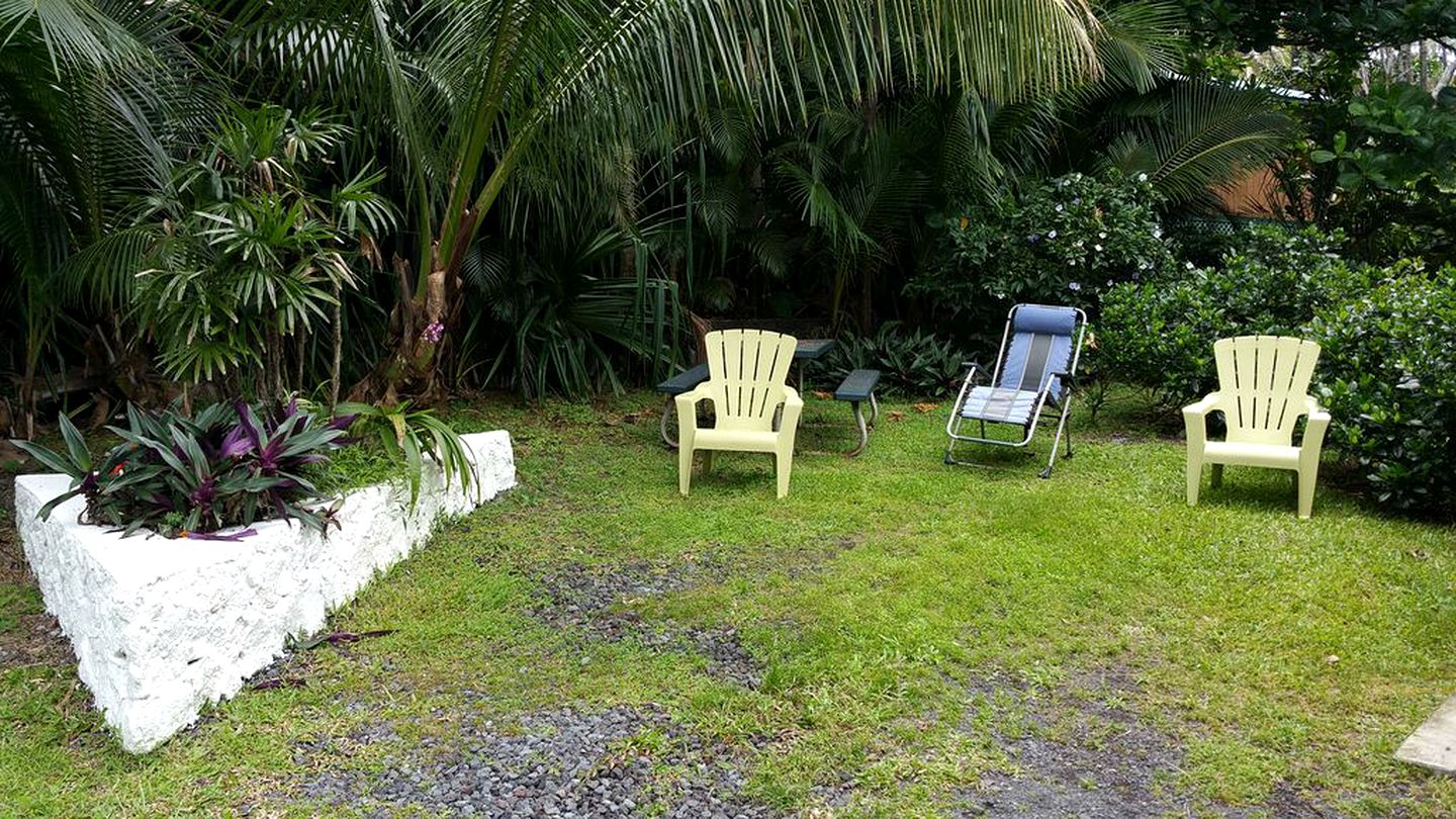 Beach Cottage near the Puna Forest Reserve in Hawaii