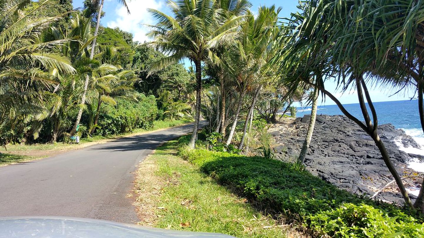 Beach Cottage near the Puna Forest Reserve in Hawaii