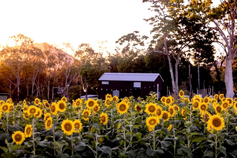 Tiny Houses (Australia, Strathdickie, Queensland)