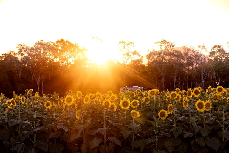 Tiny Houses (Australia, Strathdickie, Queensland)