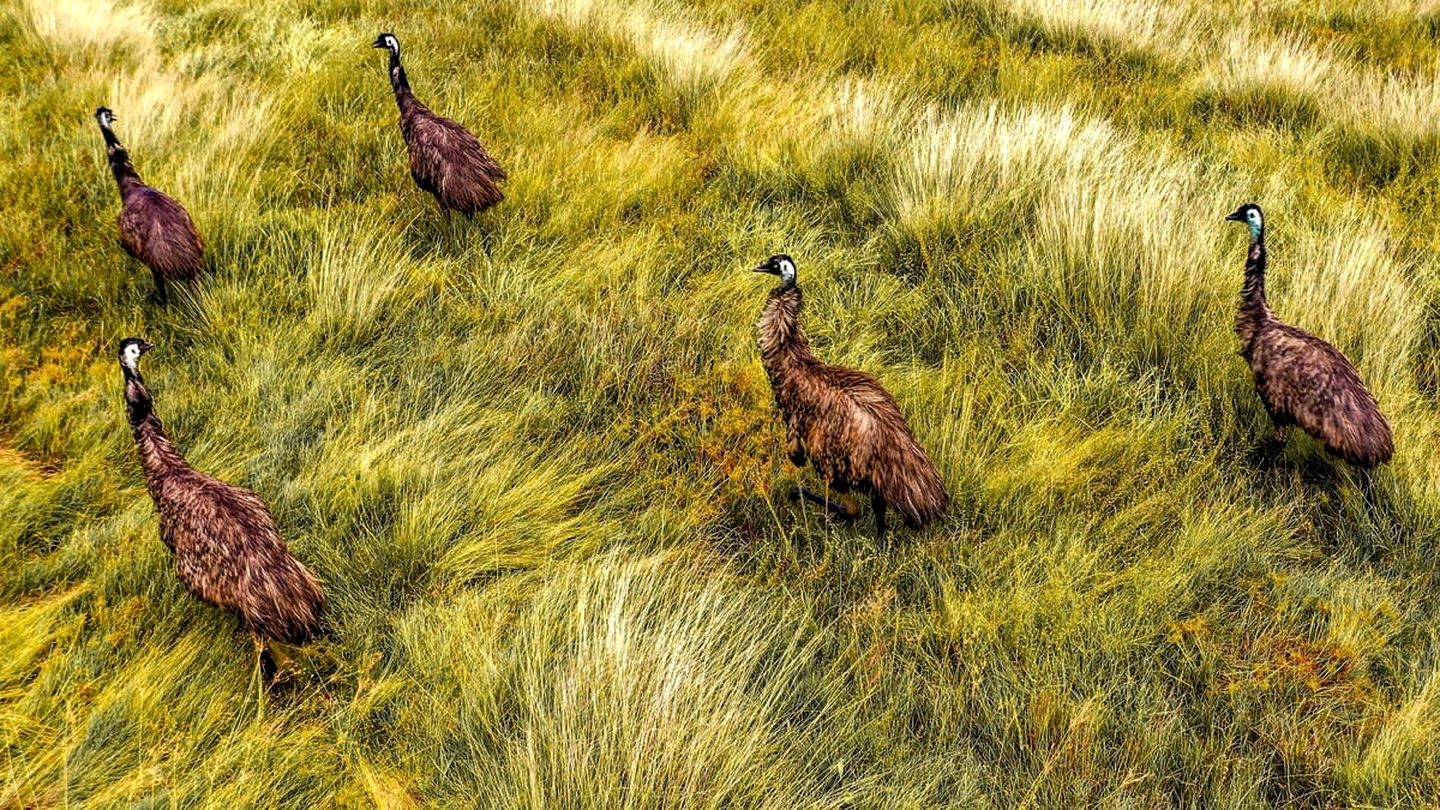 Andromache River Tiny House for Coastal Glamping near Airlie Beach