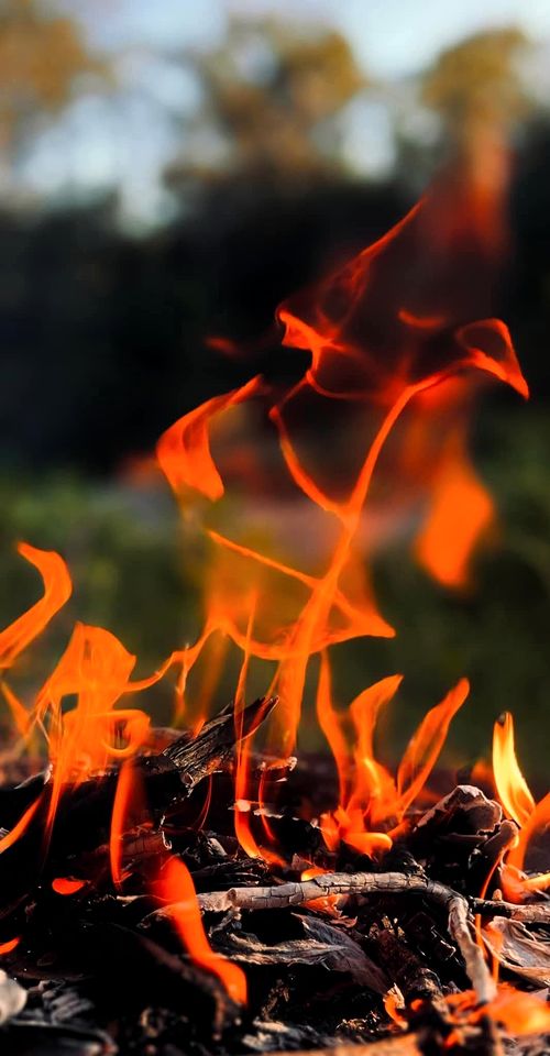 Andromache River Tiny House for Coastal Glamping near Airlie Beach