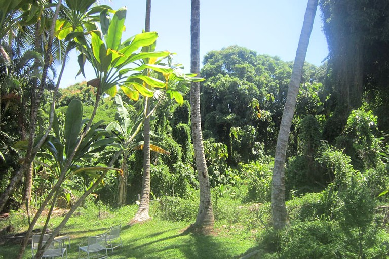 Cabins (Pohoa, Hawaii, United States)