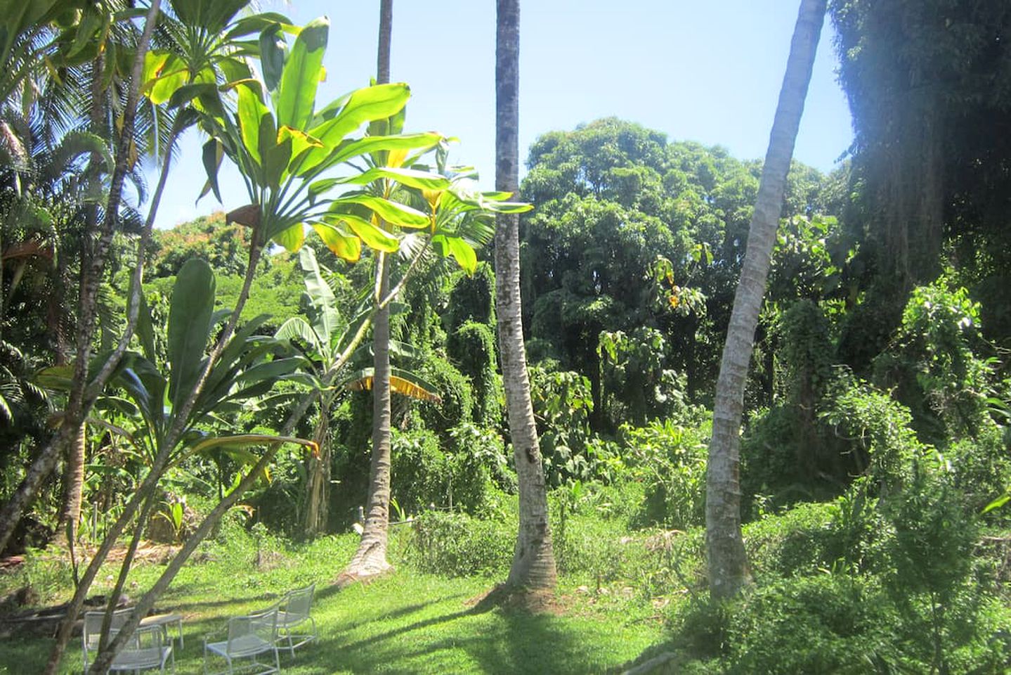 Peaceful and Private Glamping Retreat close to Famous Kehena Beach in Pahoa, Hawaii