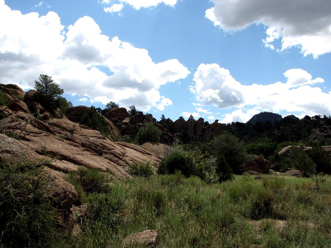 Cabins (Buena Vista, Colorado, United States)