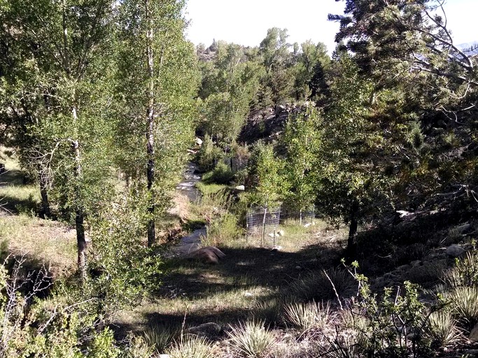 Cabins (Buena Vista, Colorado, United States)