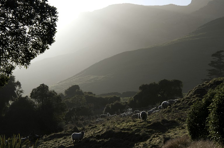 Cabins (Akaroa, South Island, New Zealand)