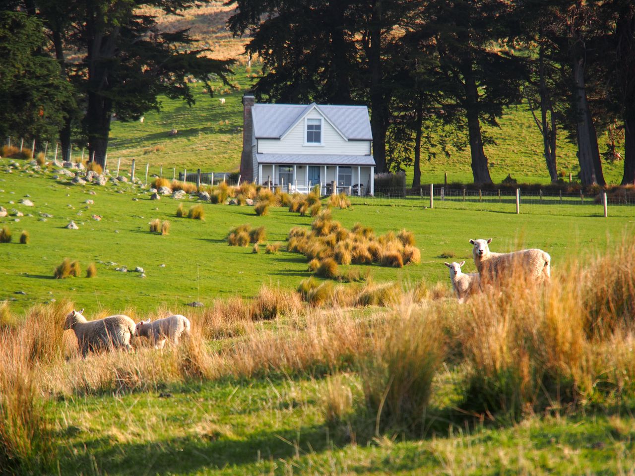 Romantic and Isolated Cottage on a Hill near Akaroa, New Zealand