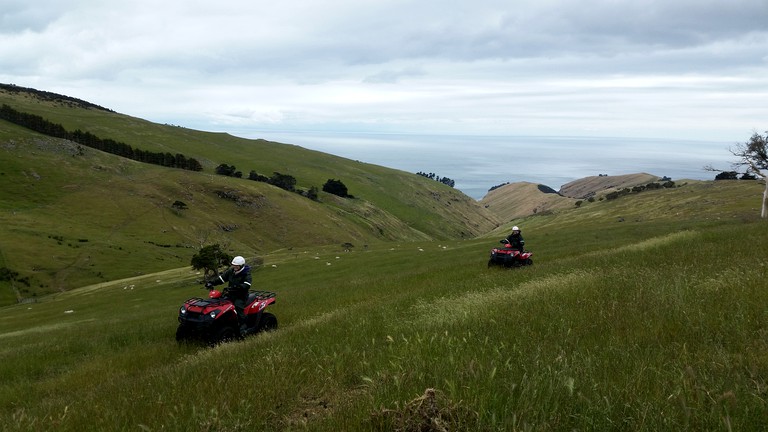 Villas (Akaroa, South Island, New Zealand)