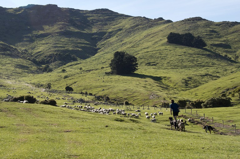 Villas (Akaroa, South Island, New Zealand)