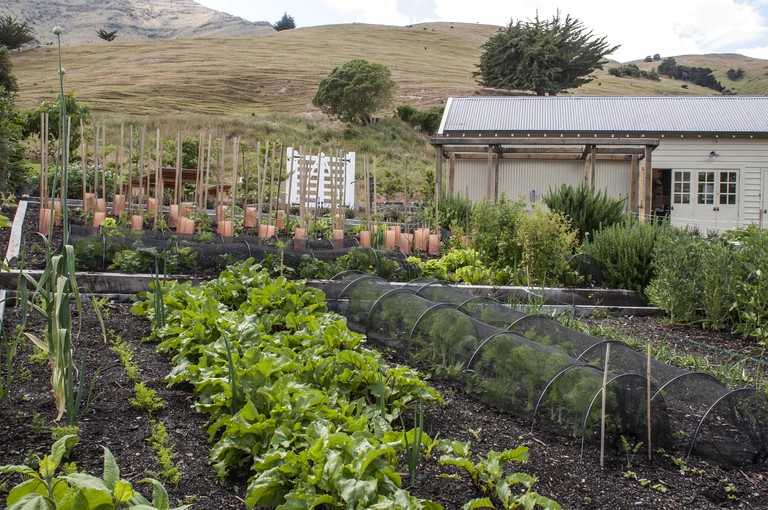 Villas (Akaroa, South Island, New Zealand)