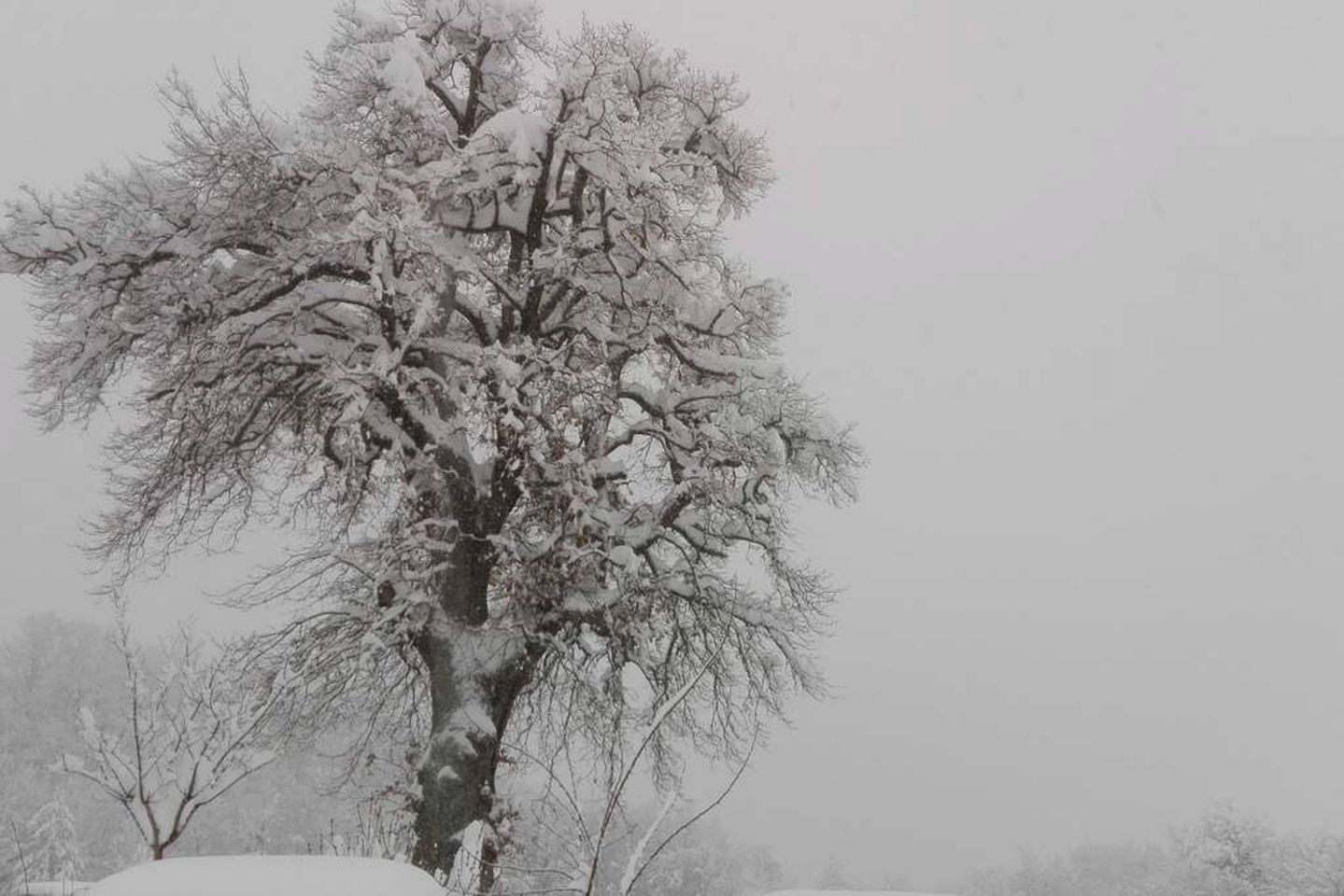Charming Accommodation in a Country Villa near Lake Fiastra, Italy