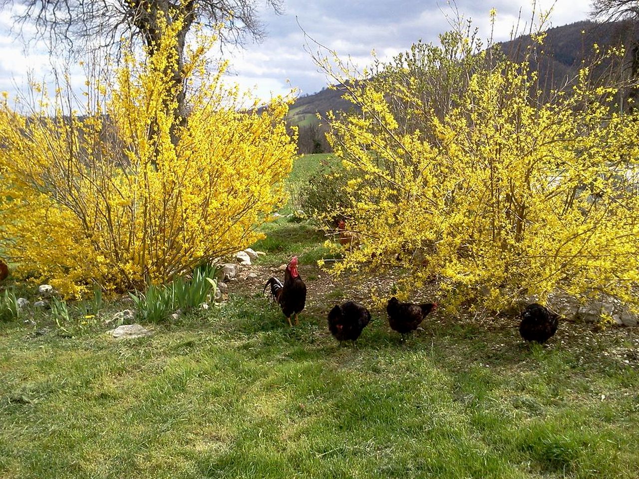 Idyllic Accommodation for a Romantic Getaway to the Countryside of Sarnano, Italy