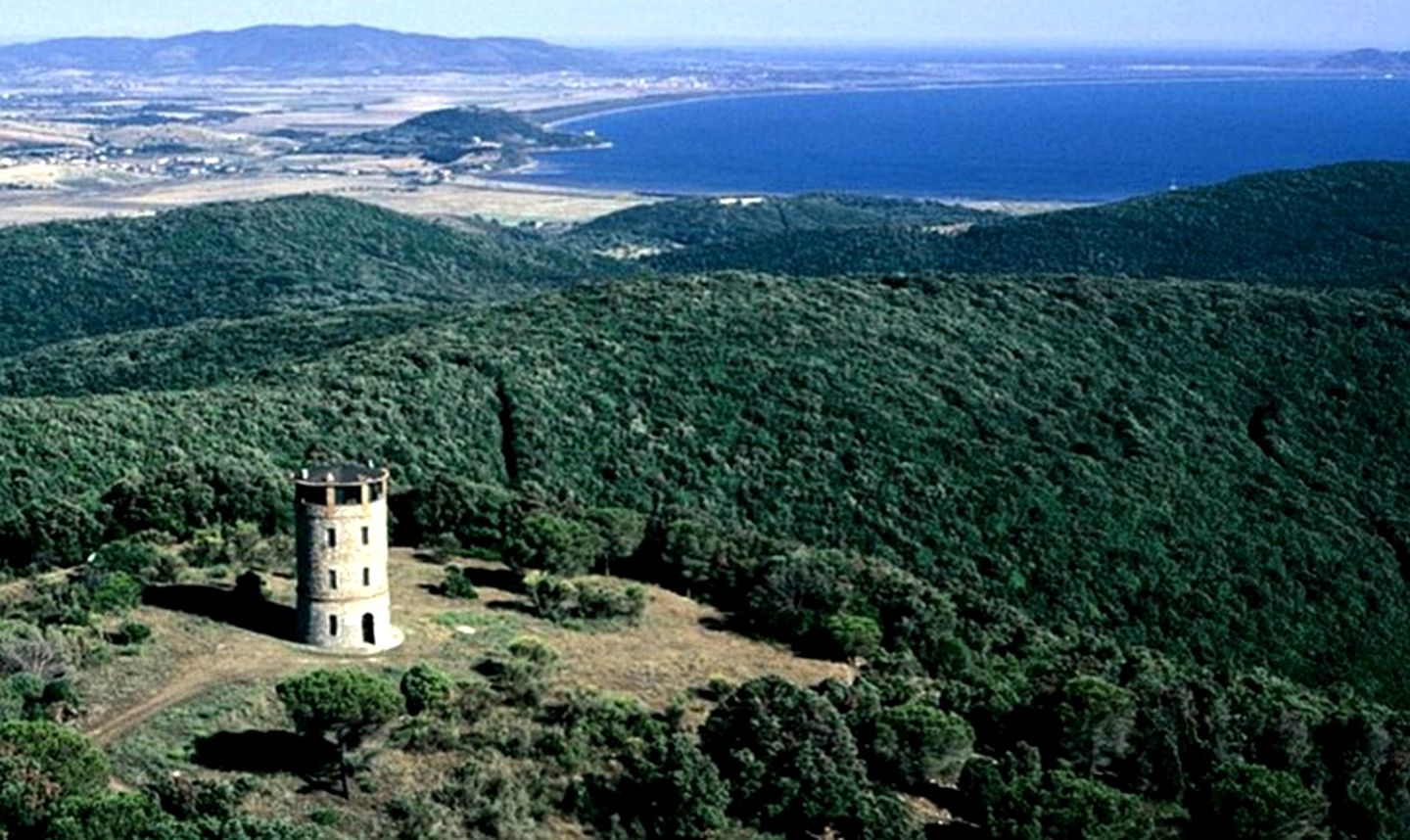 Antique Watchtower Overlooking Italy's Tuscan Countryside