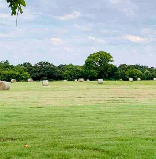 Vacation Rentals (United States of America, --, --)