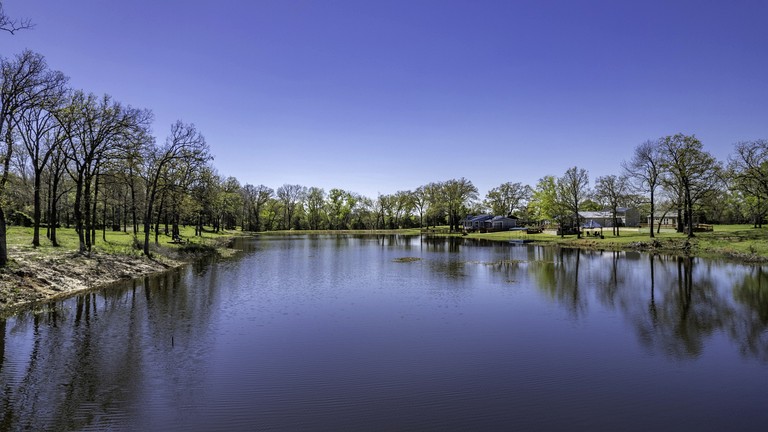 Vacation Rentals (United States of America, --, --)