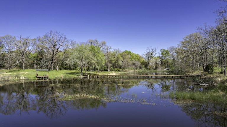 Vacation Rentals (United States of America, --, --)