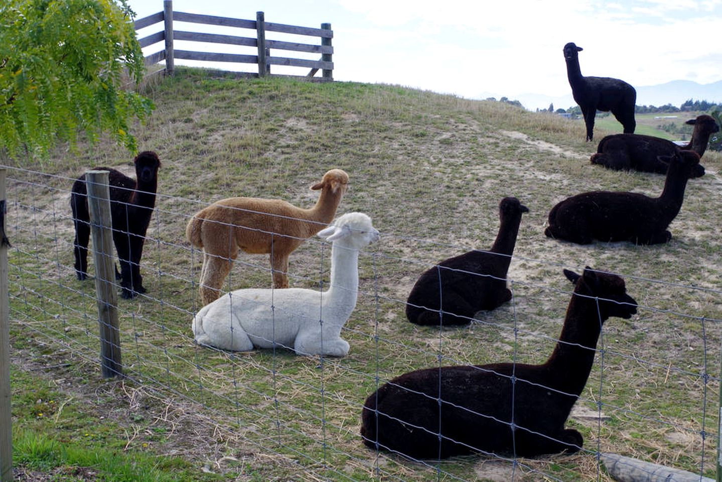 Accommodation for Serene Getaway in Nelson on New Zealand's South Island