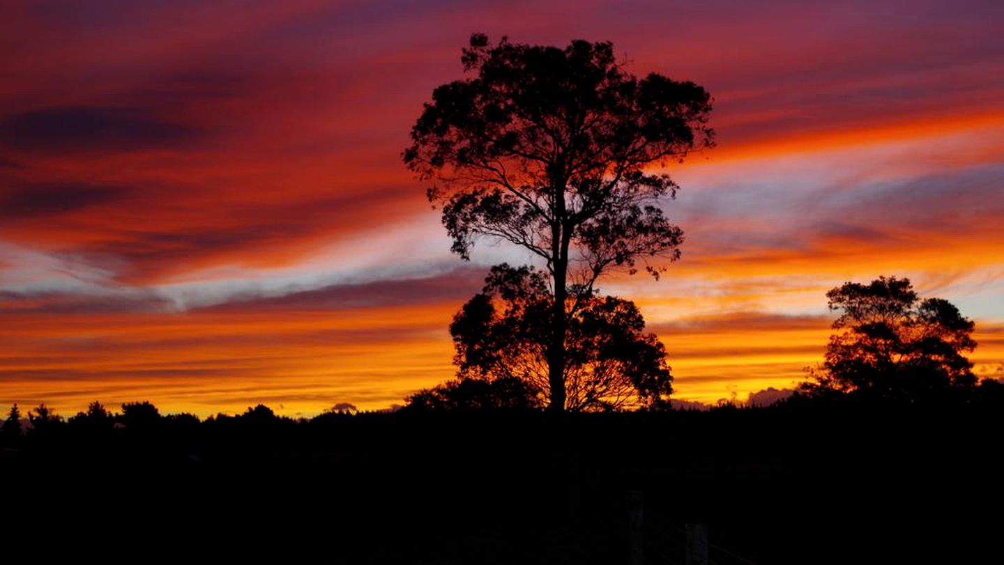 Accommodation for Serene Getaway in Nelson on New Zealand's South Island