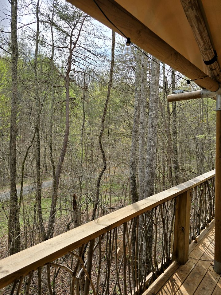 Amazing Safari Tent with Stunning Nature Views from a Private Deck in Trenton, Georgia