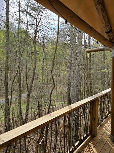 Safari Tents (United States of America, Trenton, Georgia)