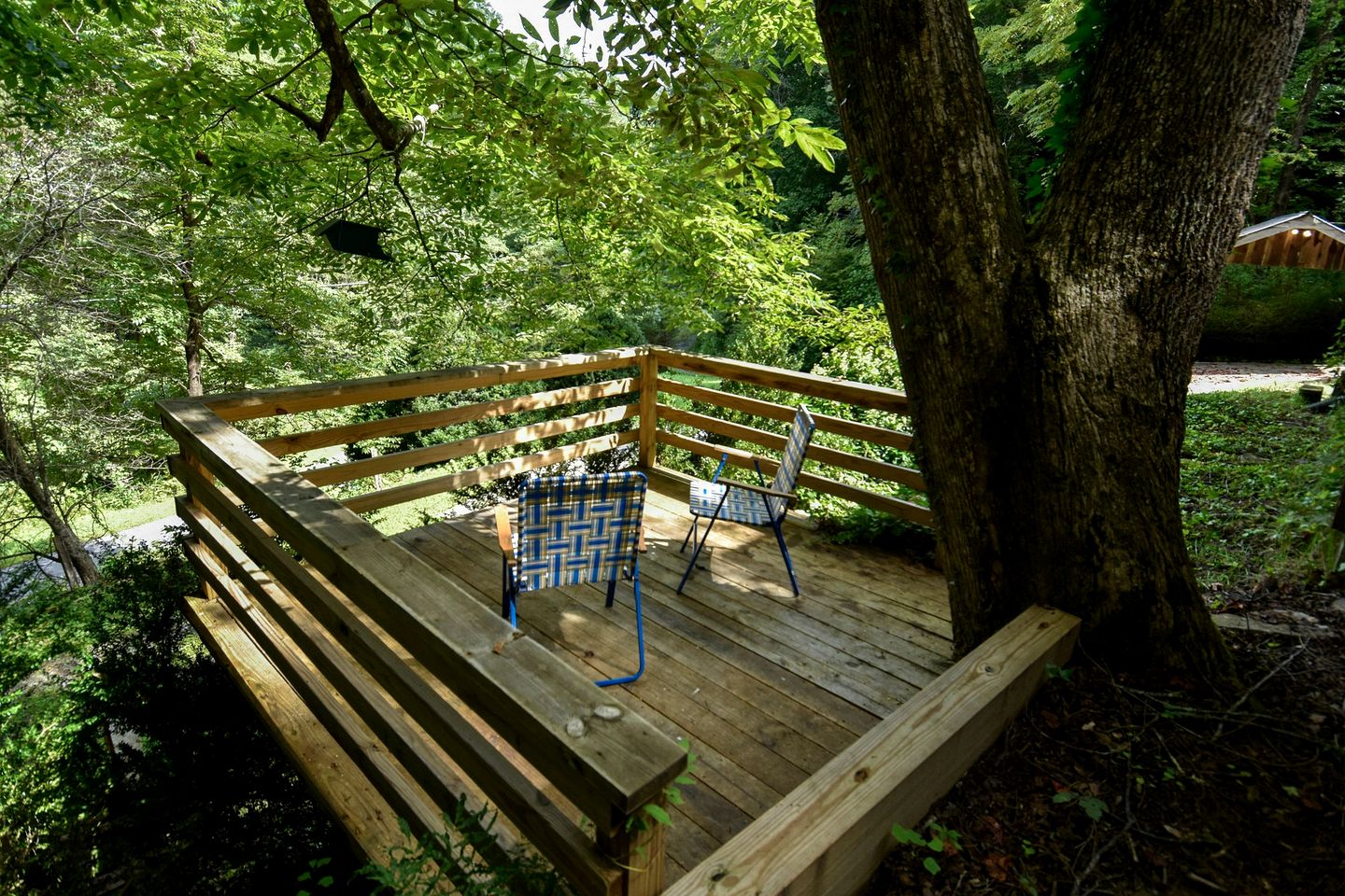 Charming Appalachian Mountain Cabin for Glamping near the Nantahala River