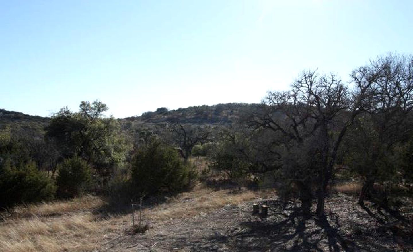Charming Cabin Rental in Wine Country of Fredericksburg, Texas