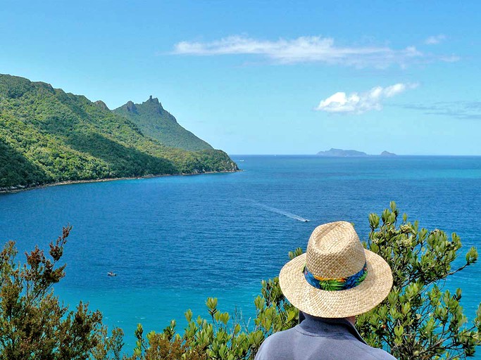 Villas (Whangarei, North Island, New Zealand)