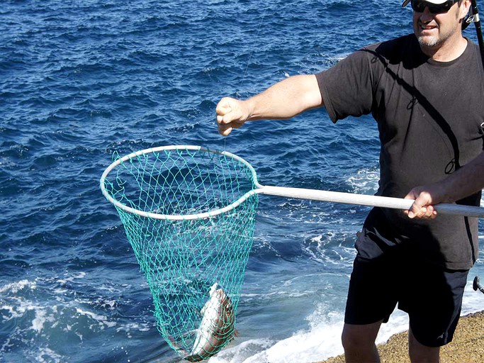 Villas (Whangarei, North Island, New Zealand)