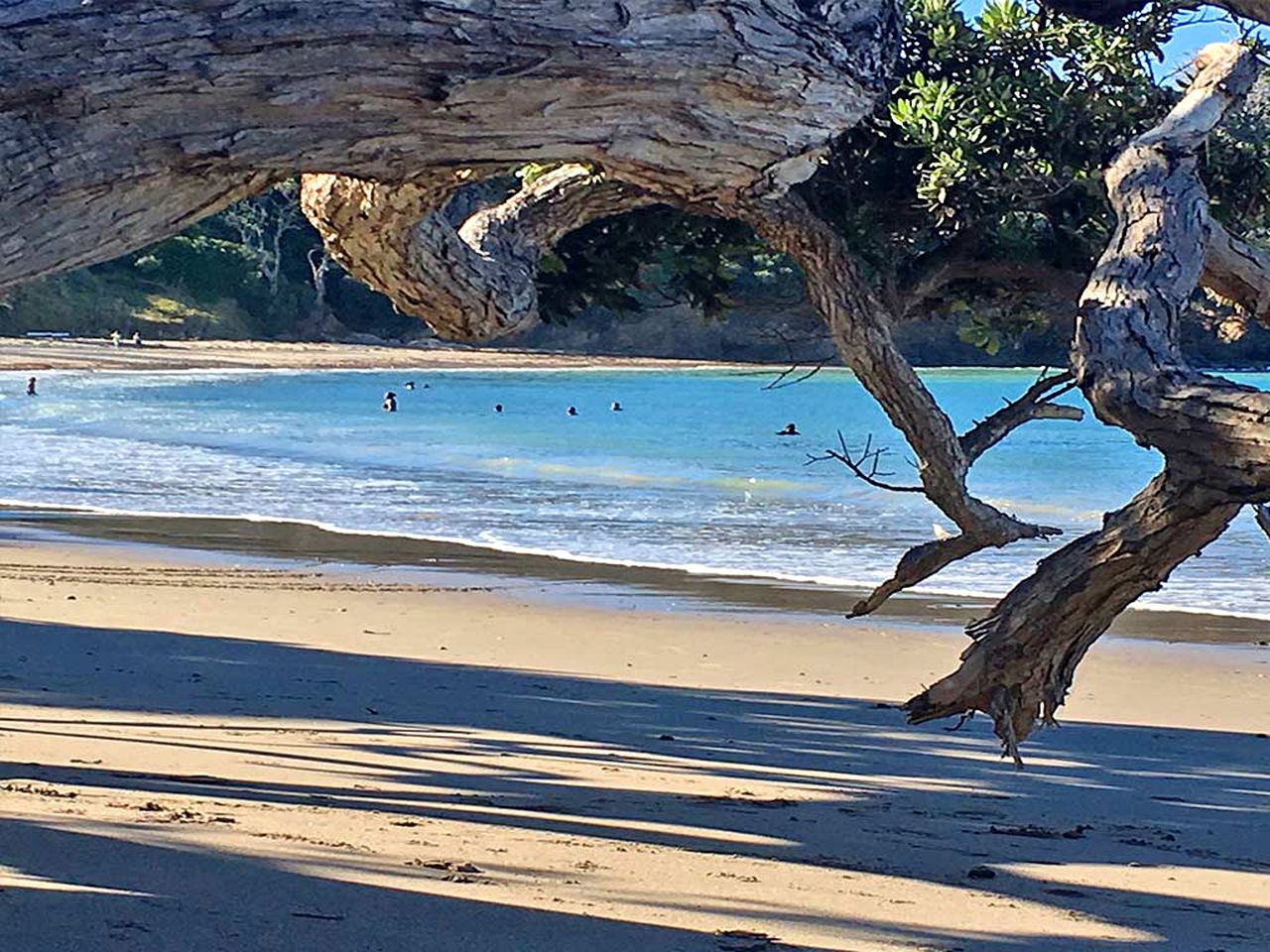 Spacious Deluxe Cottage Escape for Eight Guests near Ngunguru Bay, North Island