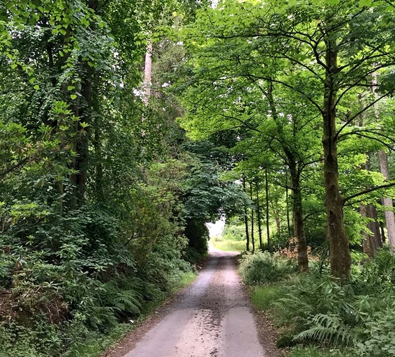 ARDOCH HOUSE Shepherds Hut, Huts, Blanefield, United Kingdom