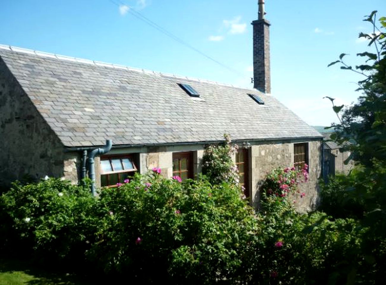 Cozy Farm Cottage Holiday Rental in Countryside of Blairgowrie, Perthshire, Scotland