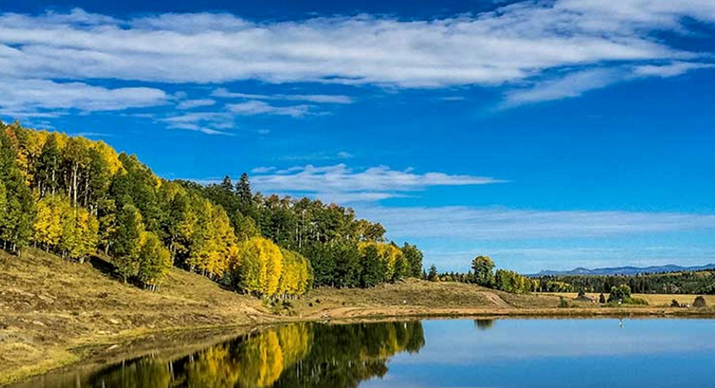 Lovely Suite Rental for Couples near Gunnison National Forest, Colorado