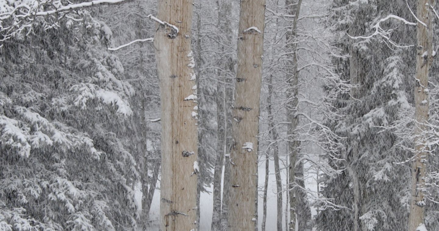 Lovely Suite Rental for Couples near Gunnison National Forest, Colorado