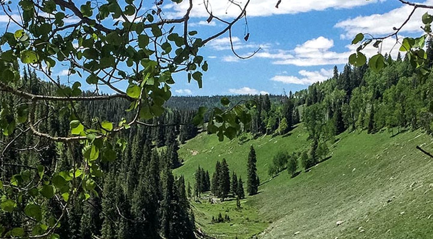 Romantic Camping Rental with Jacuzzi near Rio Grande National Forest, Colorado