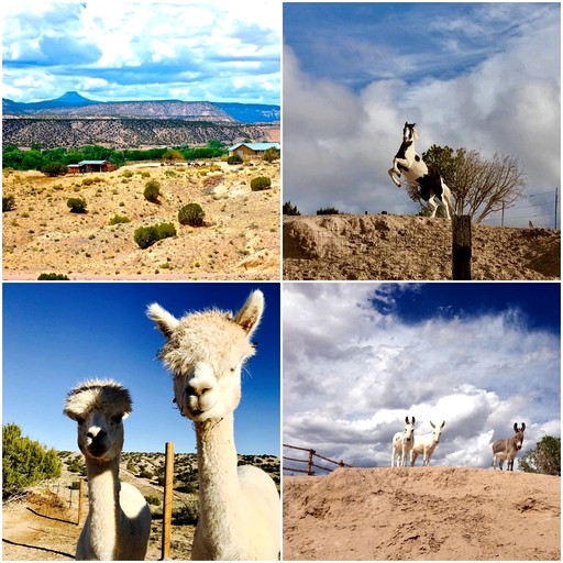 Casita de Chuparosa, Cabins, Abiquiu, United States of America