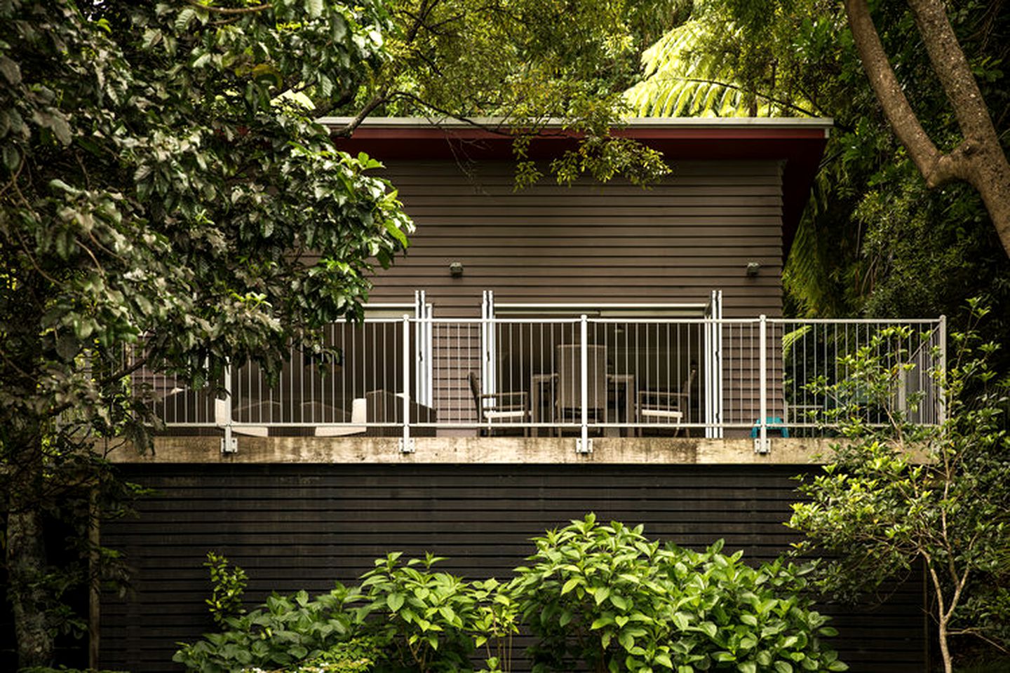 Cottages (Te Kaha, North Island, New Zealand)