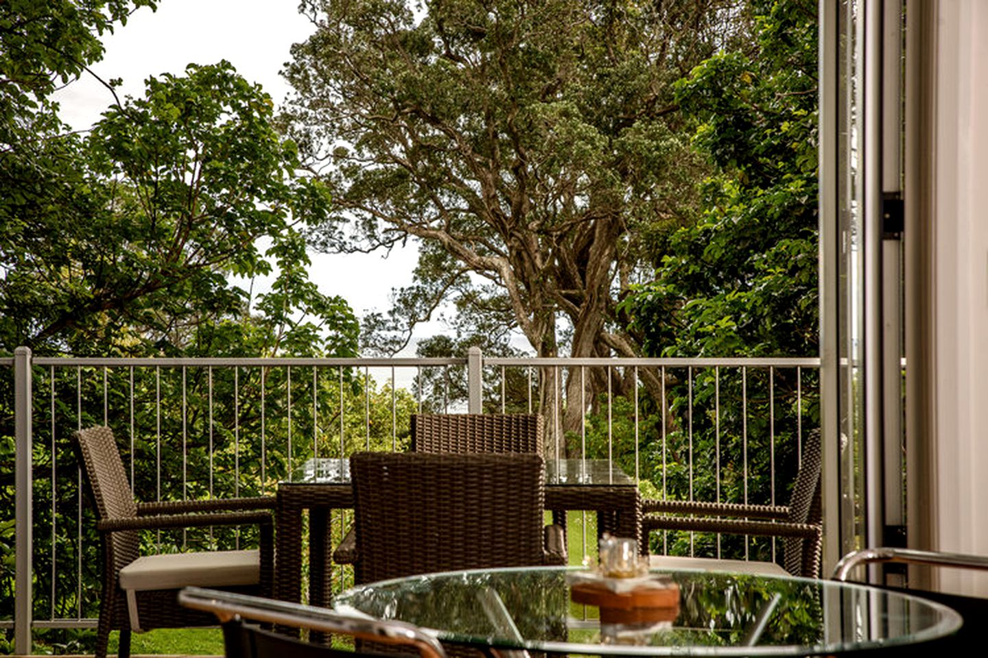 Idyllic Cottage Getaway with Forest Views on the Bay of Plenty in New Zealand