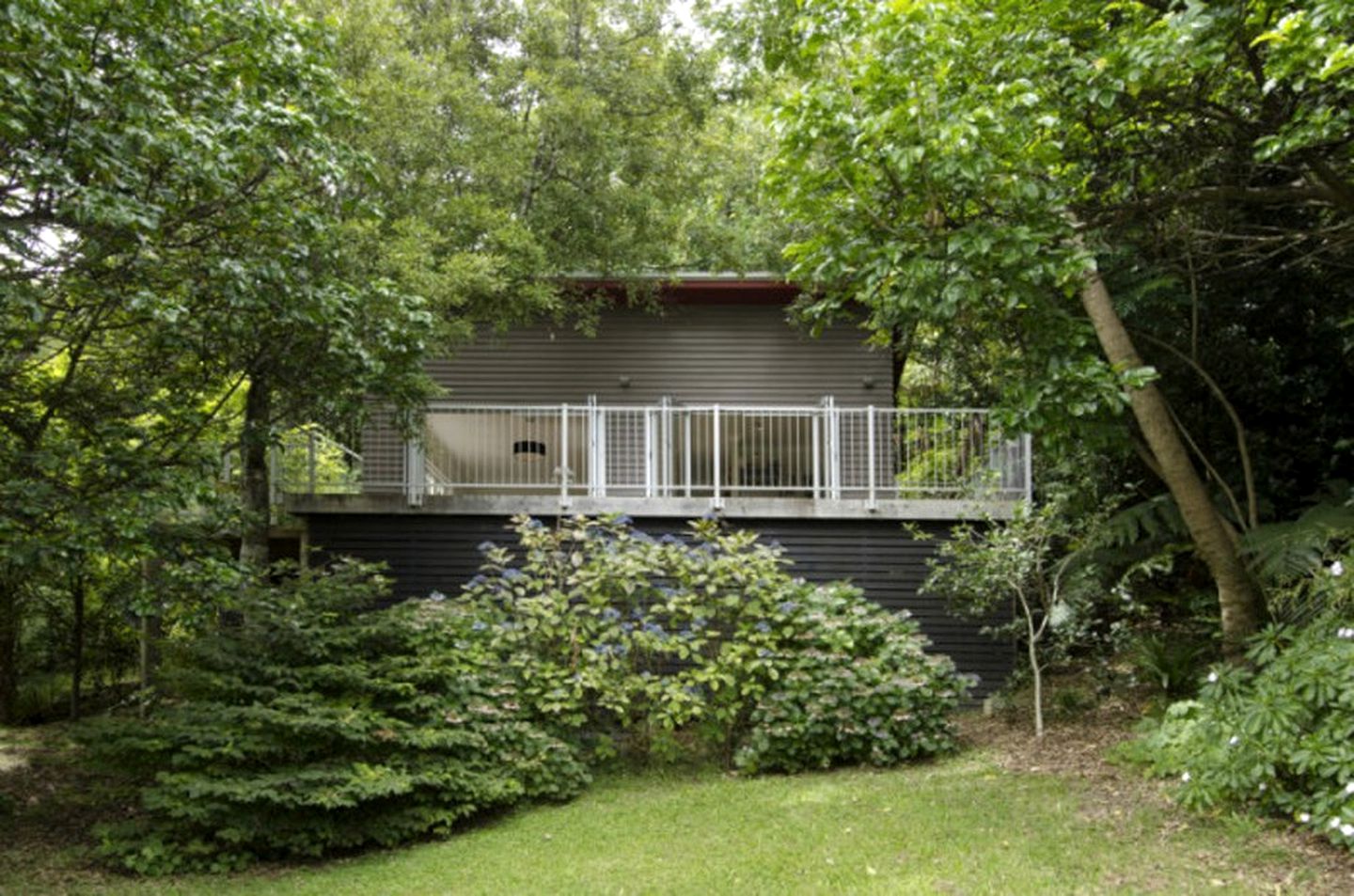 Idyllic Cottage Getaway with Forest Views on the Bay of Plenty in New Zealand