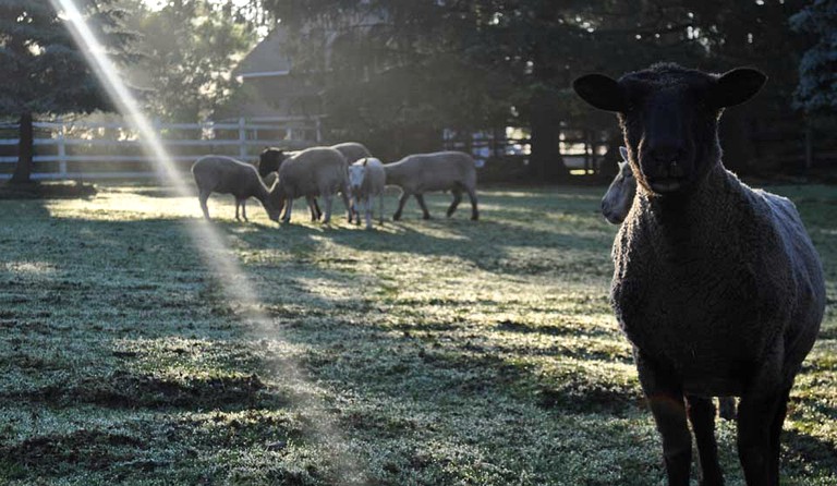 Nature Lodges (Doylestown, Pennsylvania, United States)