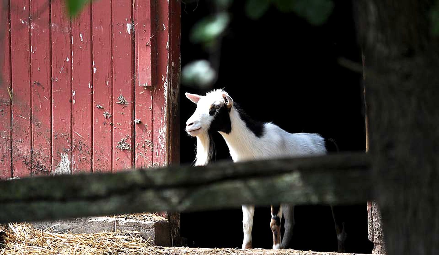 Historic Bed and Breakfast Accommodation Built in 1790 in Bucks County, Pennsylvania